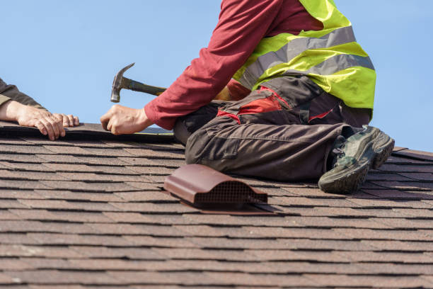 Best Gutter Installation and Roofing  in Forest City, FL