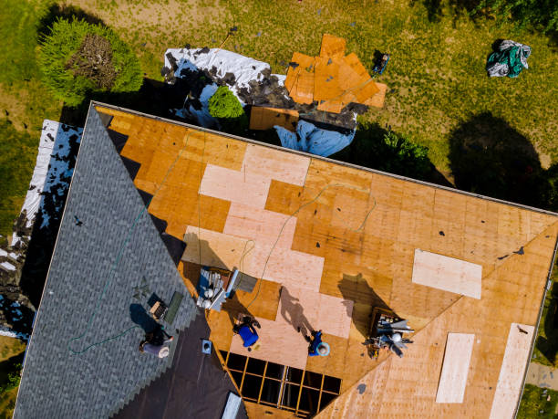 Best New Roof Installation  in Forest City, FL