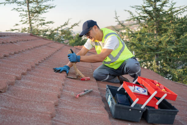 Roof Installation Near Me in Forest City, FL