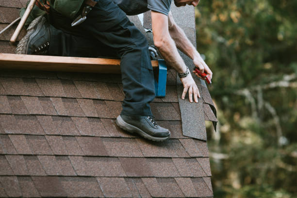 Best Storm Damage Roof Repair  in Forest City, FL